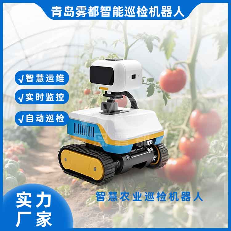 �ǻ��r(n��ng)�I(y��)Ѳ�z�C(j��)����