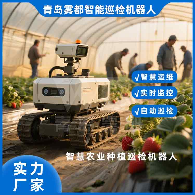 �r(n��ng)�I(y��)�NֲѲ�z�C(j��)���˷������w���O(sh��)