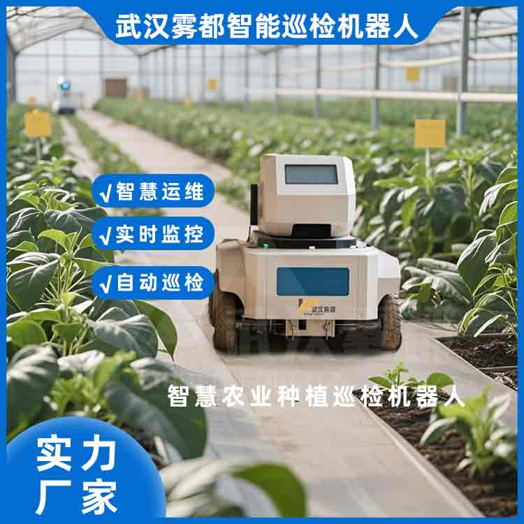 ����NֲѲ�z�C(j��)���˭h(hu��n)���z�y(c��) ���(b��o)��