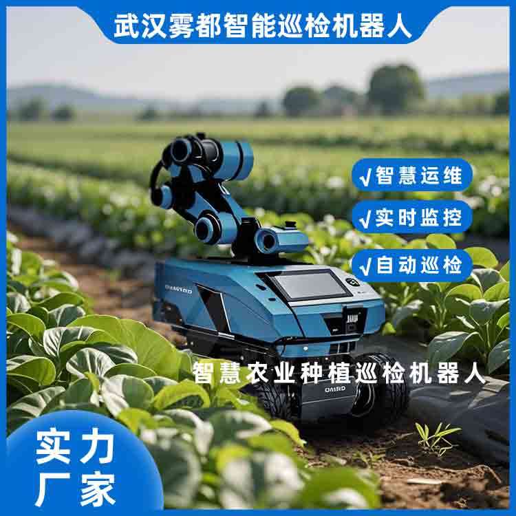 �ߵ͜��A(y��)�� �r(n��ng)�I(y��)����Ѳ�z�C(j��)����