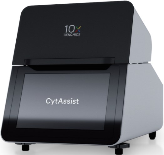 10x ���g�D(zhu��n)䛽M�M���������D(zhu��n)��ϵ�y(t��ng)