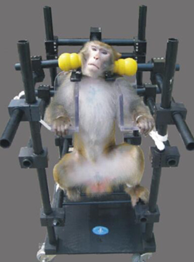 ���ӹ̶��������ӹ̶���������