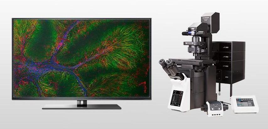 ������蹲�۽��@΢�R