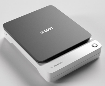 Western Blot ���ٳ���ϵ�y(t��ng)