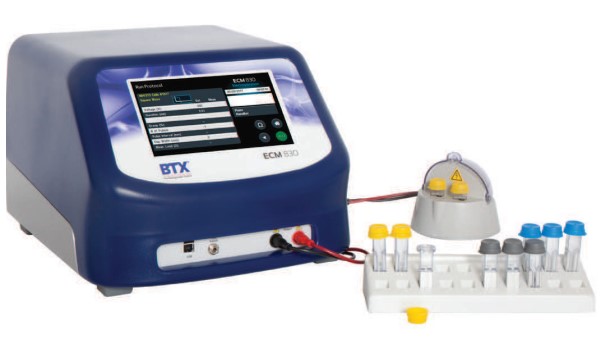 ����늴��׃x