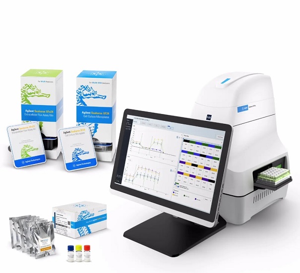 XF Flex���x�����x ������c3D��(x��)��