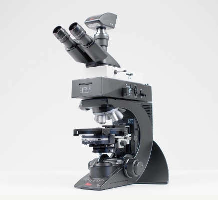 Visoria P ƫ���@΢�R