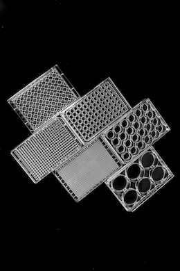 �������B(y��ng)��