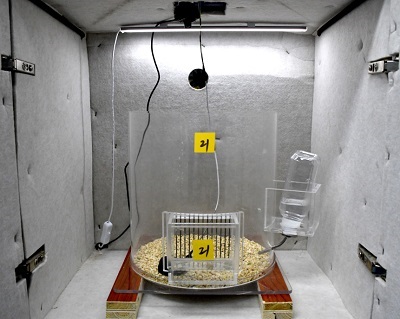 ��С���X�/���˯�ߙz�y