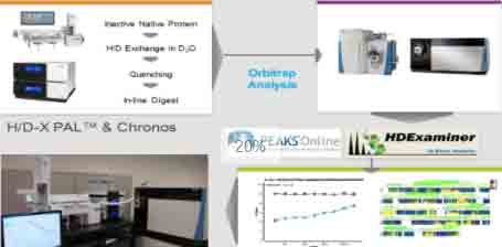 Ĥ����HDX-MS����