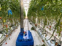 ����Ѳ�z�C(j��)����