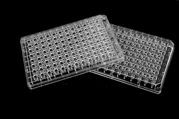 ���׾��w������