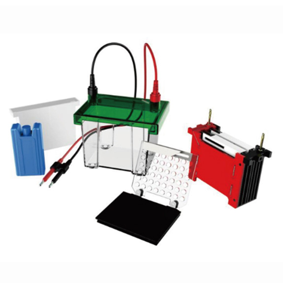 RG-ZY02 �D(zhu��n)���Ӿ��