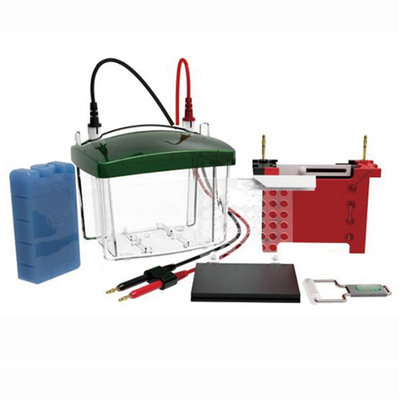 RG-ZY03 �D(zhu��n)���Ӿ�ۣ��D(zhu��n)ӡ���K�z��