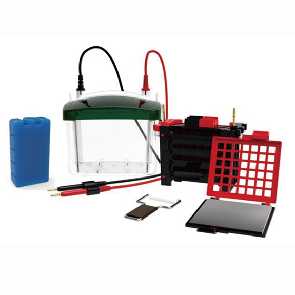 RG-ZY04�D(zhu��n)���Ӿ�ۣ��D(zhu��n)ӡ�ĉK�z��