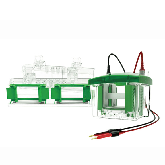 RG-Mini04 ��ֱ�Ӿ�ۣ��İ壩