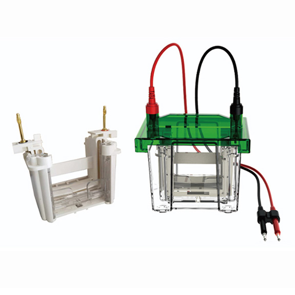 RG-PG Mini 01  �A(y��)���z�Ӿ��