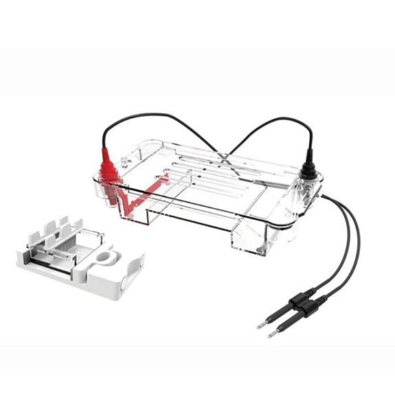 RG-Sub01  ��֬��ˮƽ�Ӿ��