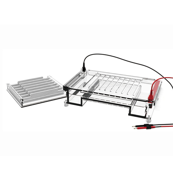 RG-Sub04  ��֬��ˮƽ�Ӿ��