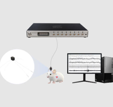 4ͨ��С���X����늘O