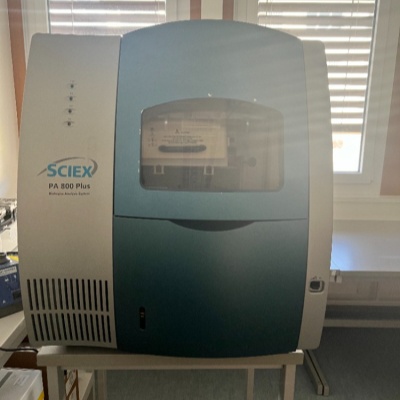 ��(��i)����˼Sciex PA800 plus ë��(x��)���Ӿ�x