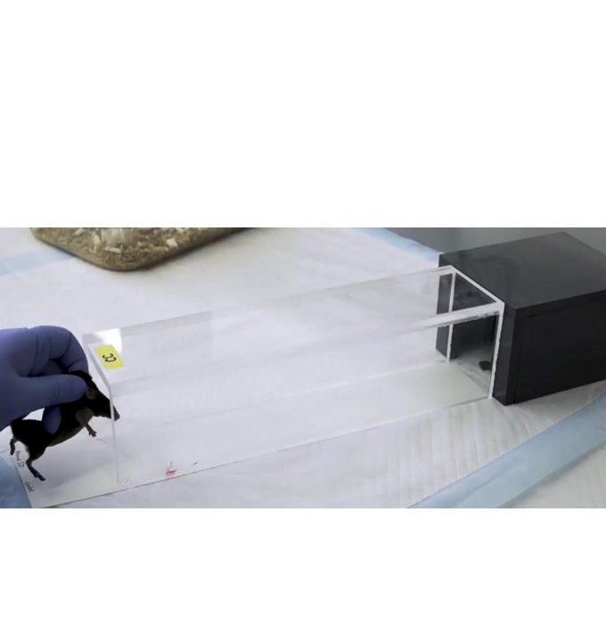 ���B(t��i)����������С�󲽑B(t��i)�������е�