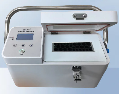 ��yʽ���B(y��ng)��