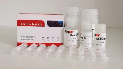 ��ӹ�ʳƷDNA��ȡԇ����