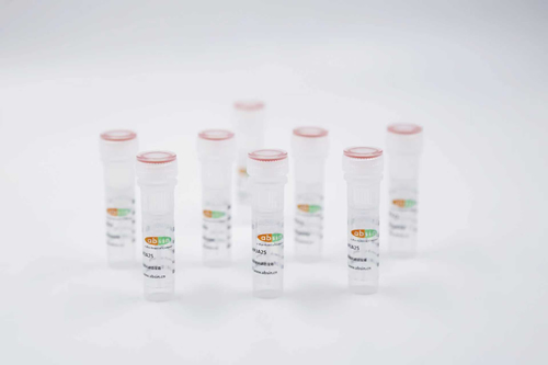 Rabbit anti-TOMM34 Polyclonal Antibody