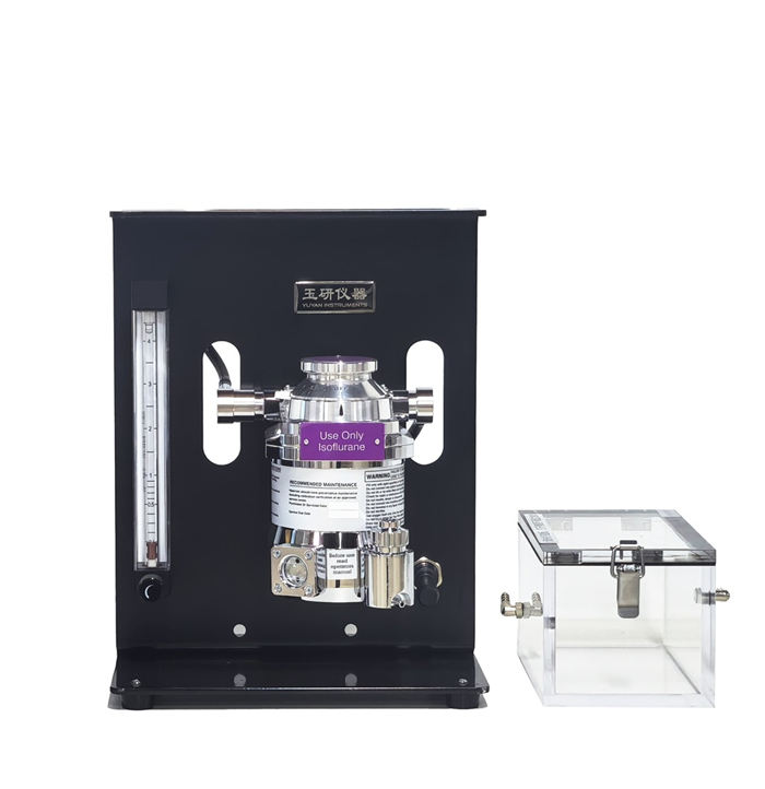 ����ˎ�]�l(f��)������������C(j��)