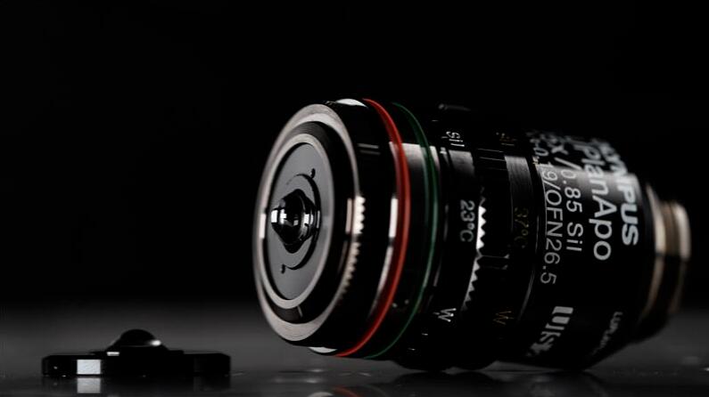 A Lineϵ�����Ͷ���|(zh��)���R