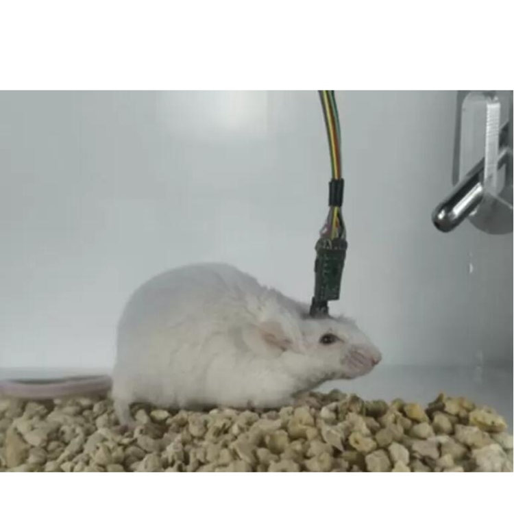 С���X늼�늜y(c��)��ϵ�y(t��ng)�������X늜y(c��)��ϵ�y(t��ng)