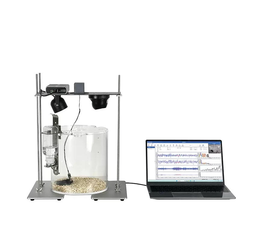 �����X늟o(w��)���y(c��)����С��(d��ng)���X늟o(w��)���y(c��)��?j��)x