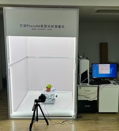 �f(w��n)��PhenoGAֲ����ͷ����y(c��)��?j��)x