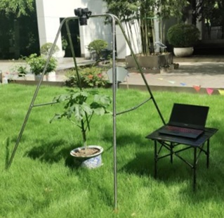 �f(w��n)��PhenoGA-F���g����ֲ����ͷ����y(c��)��?j��)x