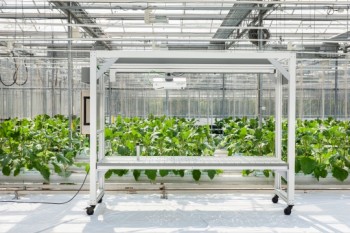 TraitFinderֲ����ͷ���/ӛ��b��