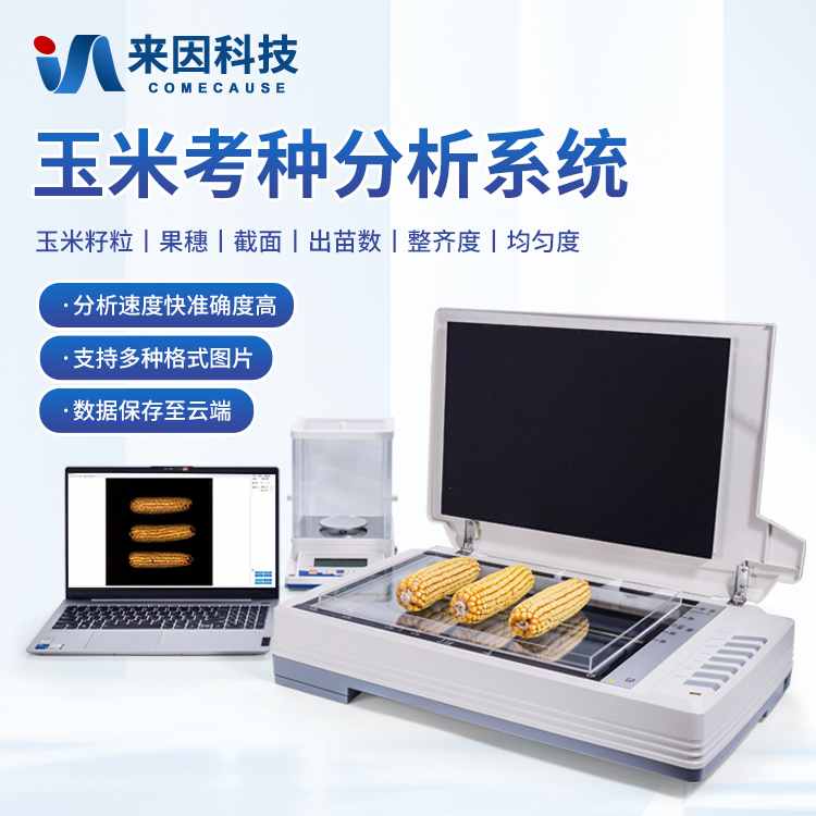 ���׿��N����ϵ�y(t��ng)-���׿��N�x