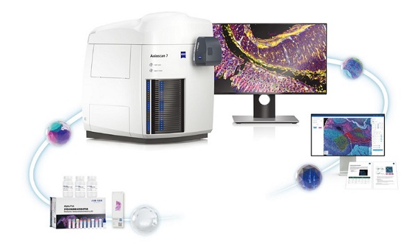 RIMA���g����W(xu��)��Q����