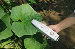 MultispeQֲ�������(sh��)�y(c��)��?j��)x