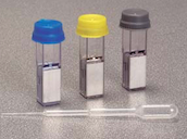 ����늓���