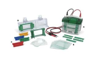 ��ֱ�Ӿ��-1658001-BioRad-����