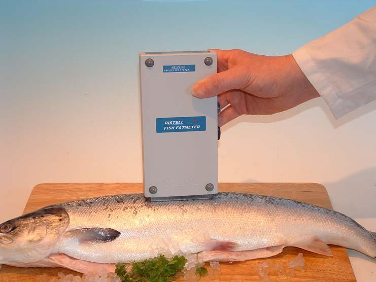 �~(y��)��֬���y(c��)���x