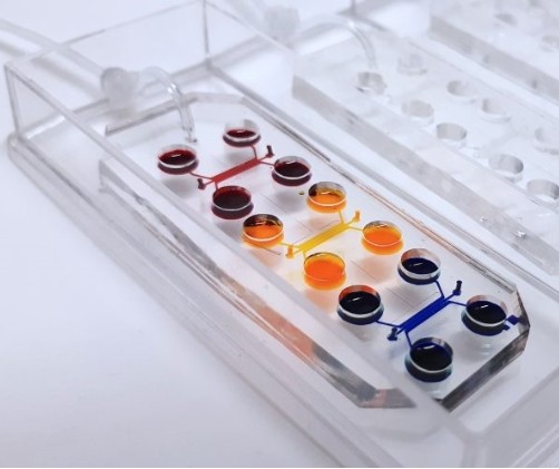 �����BiomimX Srl ���K����оƬ