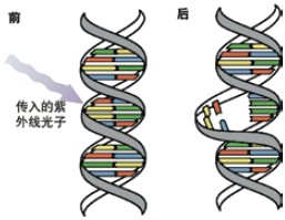 ELGA LabWater���g(sh��)�f(shu��)�����������־�����