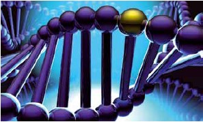 PURELAB flex���������^�V�������������(n��i)������RNase��DNase�ͼ�(x��)��