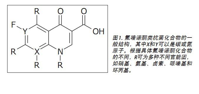 ����T-wave�x���ʶ��|(zh��)�V�b���i�����еķ���Zͪ����صĶ�λ�c(di��n)�����x�Ӽ�����Ƭ�x��