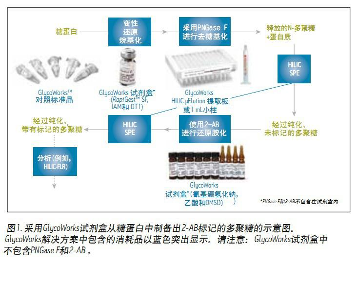 ����N-�Ƿ����Ćδ��ú͸�ͨ��HILIC SPE��IgG���՘˜�Ʒ