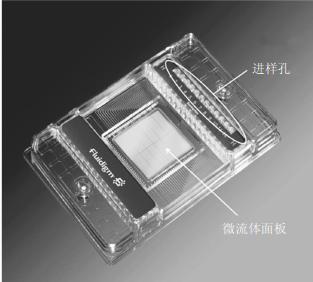 �D1 ΢���wdPCR��12��765 ����(y��ng)оƬ