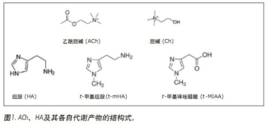 ����CORTECS UPLC HILICɫ�V���_�l(f��)һ�N�܉�?q��)����X��Һ(CSF)������đ�A���M��������x�a(ch��n)��ͬ�r�M�ж���������UPLC/MS/MS�����y����