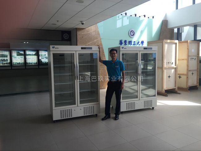 �пƶ���2-8���t(y��)�������